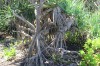 4066.jpg 4066.jpg