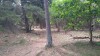 20180709_104140.jpg 20180709_104140.jpg