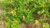 20180709_111102.jpg 20180709_111102.jpg