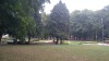 20180804_143239.jpg 20180804_143239.jpg