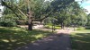 20180805_105159.jpg 20180805_105159.jpg
