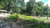 20180805_105227.jpg 20180805_105227.jpg