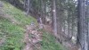 20180816_122408.jpg 20180816_122408.jpg