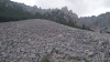 20180816_123520.jpg 20180816_123520.jpg