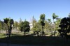 4615.jpg 4615.jpg