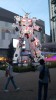 4619.jpg 4619.jpg
