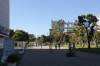 4620.jpg 4620.jpg