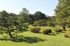 4988.jpg 4988.jpg