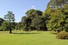 4989.jpg 4989.jpg