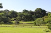 4992.jpg 4992.jpg