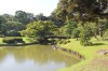 4995.jpg 4995.jpg