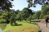 4996.jpg 4996.jpg