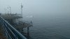 20181027_113014.jpg 20181027_113014.jpg