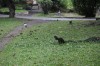 20181126_150132.jpg 20181126_150132.jpg