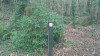 20190111_121524.jpg 20190111_121524.jpg