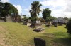 3196.jpg 3196.jpg