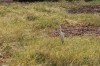 3278.jpg 3278.jpg