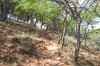 3288.jpg 3288.jpg
