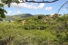 3289.jpg 3289.jpg