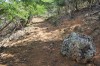 3309.jpg 3309.jpg