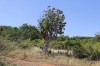 3312.jpg 3312.jpg