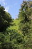 3346.jpg 3346.jpg