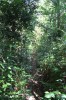 3351.jpg 3351.jpg