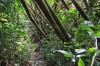 3358.jpg 3358.jpg
