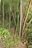 3360.jpg 3360.jpg