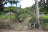 3381.jpg 3381.jpg