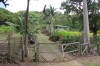 3382.jpg 3382.jpg
