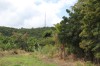 3391.jpg 3391.jpg