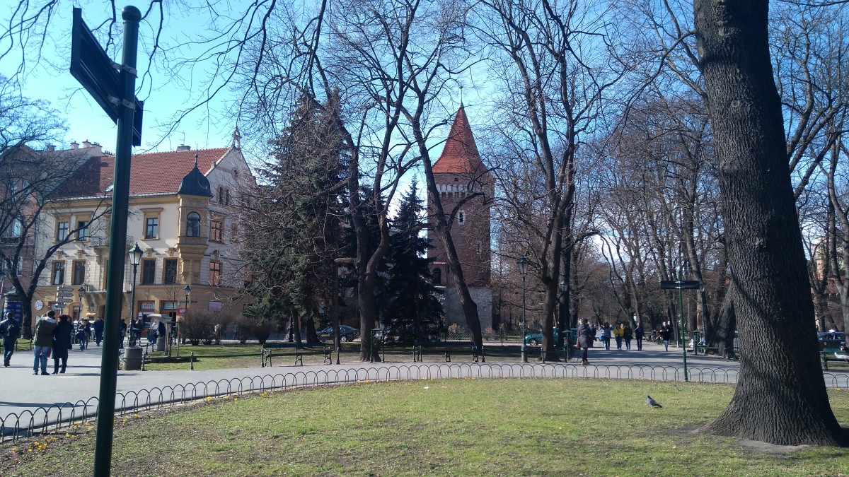 20190308_125604.jpg