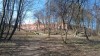 20190309_101401.jpg 20190309_101401.jpg