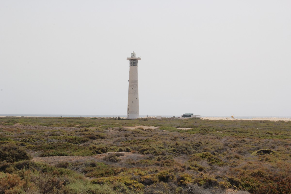 20190323_132646.jpg