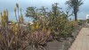 20190322_131026.jpg 20190322_131026.jpg