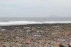 20190322_133908.jpg 20190322_133908.jpg