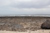 20190322_134134.jpg 20190322_134134.jpg