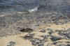 20190322_135728.jpg 20190322_135728.jpg