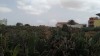 20190323_140549.jpg 20190323_140549.jpg