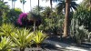 20190321_102147.jpg 20190321_102147.jpg