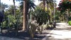 20190321_102149.jpg 20190321_102149.jpg
