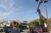4054.jpg 4054.jpg