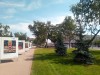 20190524_110609.jpg 20190524_110609.jpg