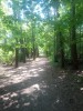 20190524_120229.jpg 20190524_120229.jpg