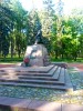 20190525_174715.jpg 20190525_174715.jpg