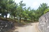 4948.jpg 4948.jpg