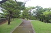 4951.jpg 4951.jpg