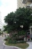 5081.jpg 5081.jpg