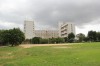 5137.jpg 5137.jpg